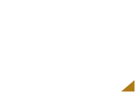 おいしさの秘密“お肉”