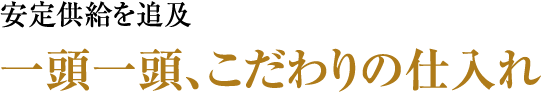 安定供給を追及 一頭一頭、こだわりの仕入れ